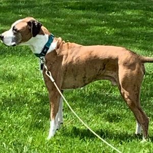 Meet your Posher, Jay